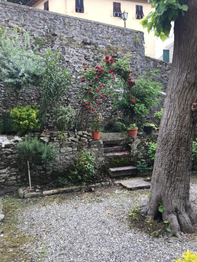 Barga Lucca Centro Storico Con Giardino Apartment Bagian luar foto